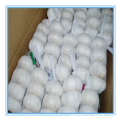 【供應(yīng)2013年優(yōu)質(zhì)出口級(jí)純白大蒜,各種規(guī)格,有自己工廠】?jī)r(jià)格,廠家,圖片,蔥姜蒜類(lèi),金鄉(xiāng)縣遠(yuǎn)大偉業(yè)進(jìn)出口貿(mào)易-